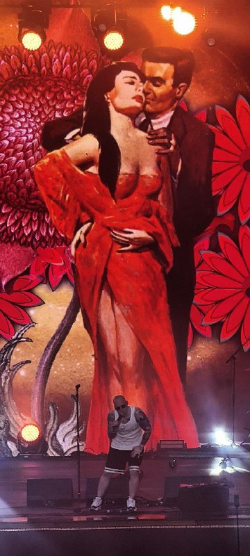 Графика для выступлений артиста